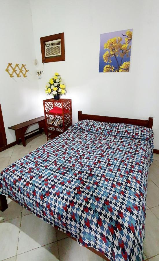 Bela Ipe Pousada Hostel Apart 莫罗圣保罗 外观 照片
