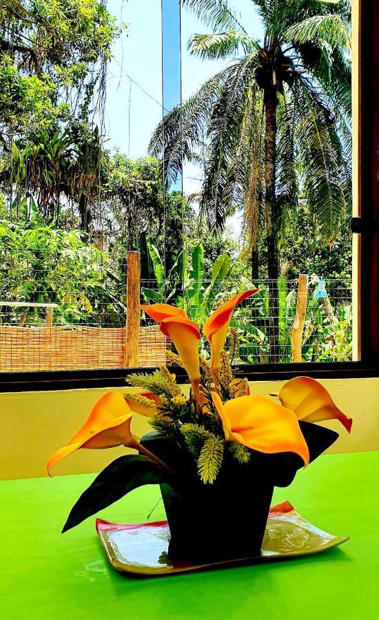 Bela Ipe Pousada Hostel Apart 莫罗圣保罗 外观 照片